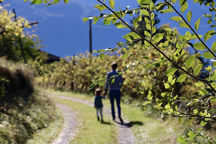 Südtirol - Beim Wandern durch die Weinterrassen fällt der Blick auf historische Ansitze traditionsreicher Weinbauern