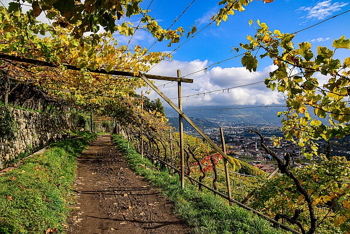 Wellness und ein edler Tropfen: Genussvolle Auszeit an der Südtiroler Weinstraße