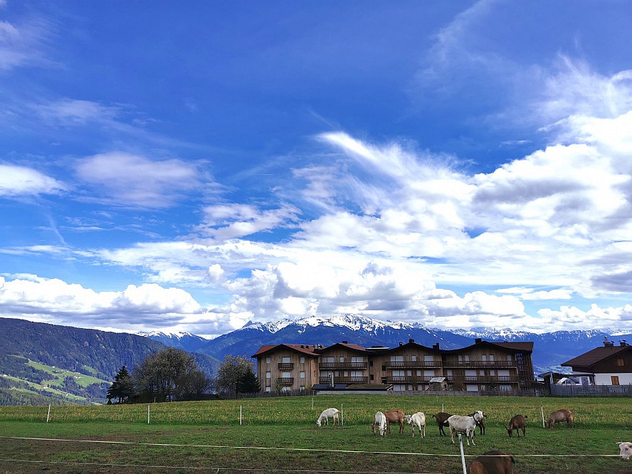 Panorama Living Dolomites: in der unmittelbaren Umgebung liegen herrlich duftende Wiesen mit Hühnern, Schafen und Ziegen.