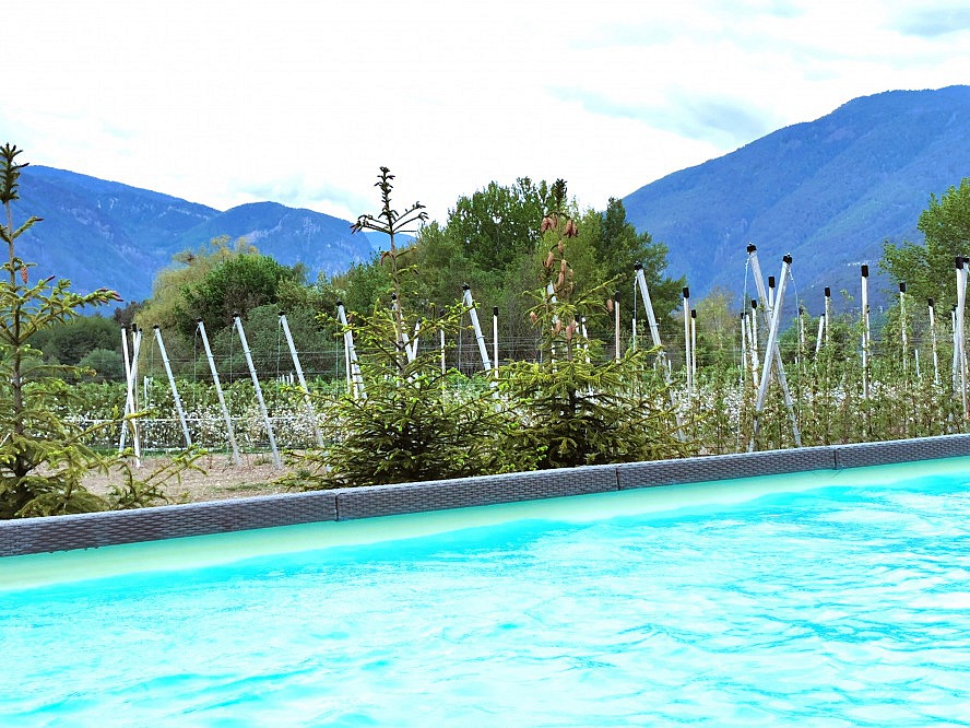 Kessler's Mountain Lodge: Im freistehenden Pool im weitläufigen Garten kann man wunderbar seine Bahnen ziehen