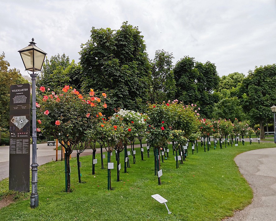 nicko cruises: der Volksgarten ist eine schön angelegte Parkanlage mit einem Theseustempel aus den 1820er Jahren