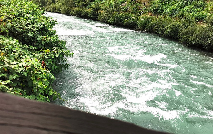 Zedern Klang: die Schwarzach führt zur Zeit ganz schön viel rauschendes Wasser