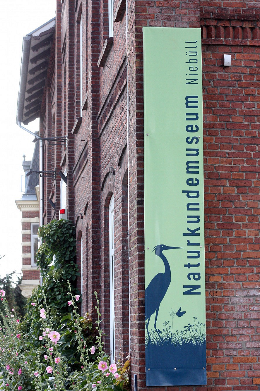 Landhafen Niebüll: Naturkundemuseum Niebüll