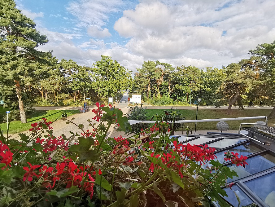 Strandhotel Heringsdorf: Blick von unserer Suite - zwischen den Bäumen hindurch sieht man schon den Strand