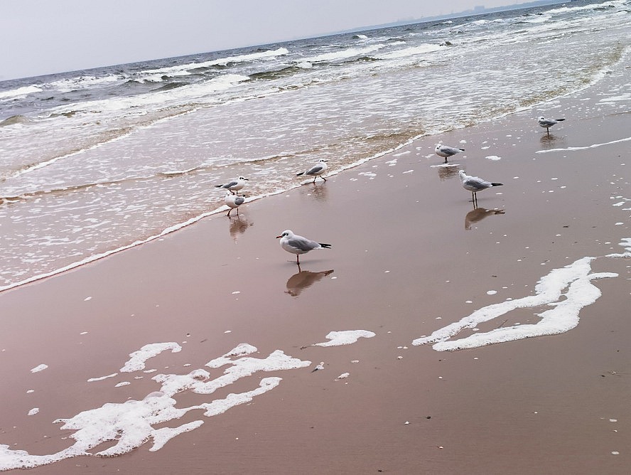 Strandhotel Heringsdorf: Naturfreunde sollten einen Ausflug in den nahegelegenen Naturpark Insel Usedom unternehmen