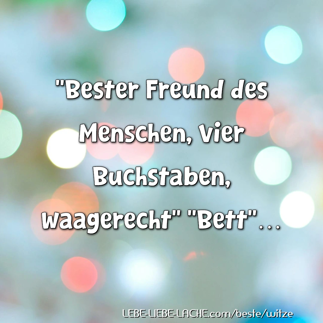 "Bester Freund des Menschen, vier Buchstaben, waagerecht" "Bett"