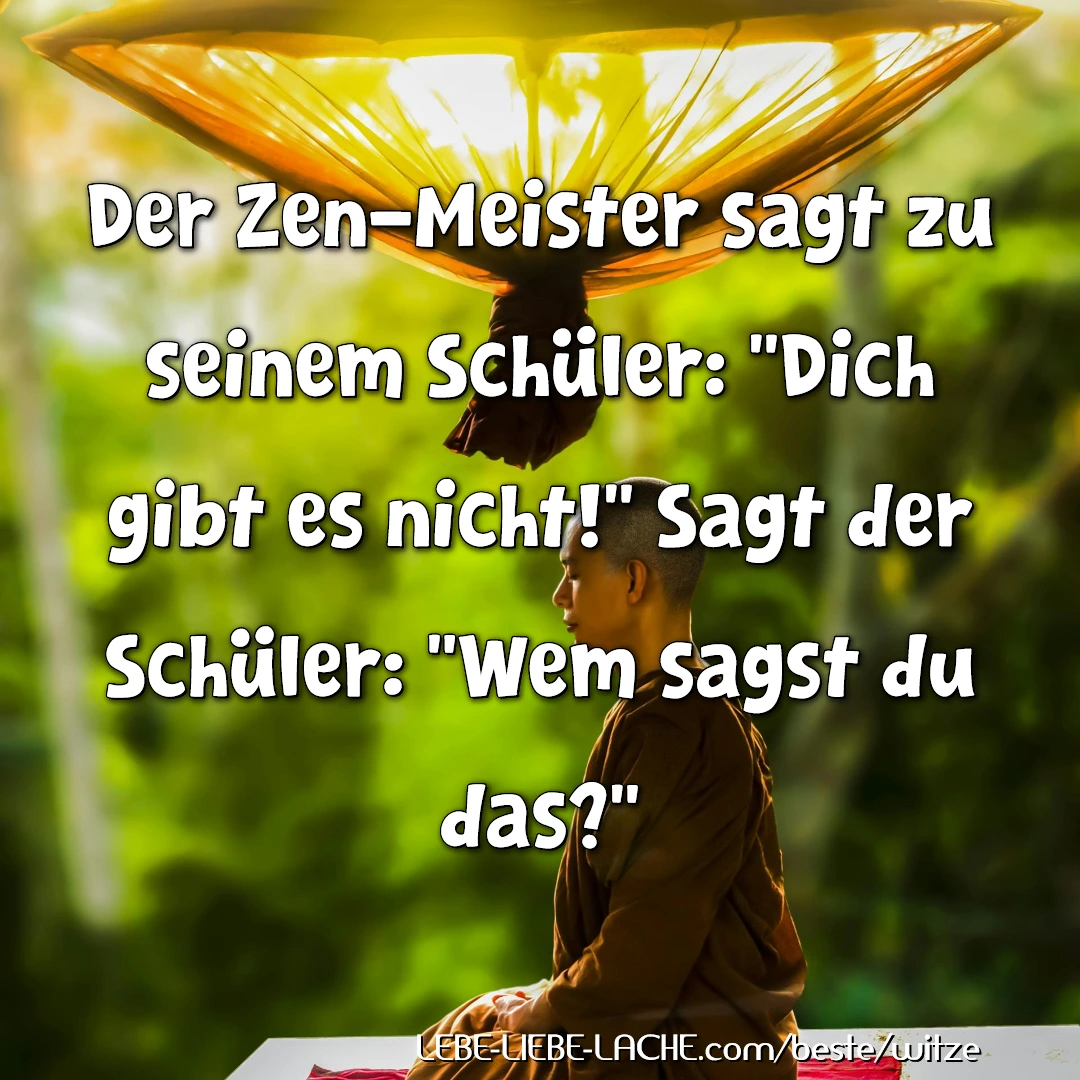 Der Zen-Meister sagt zu seinem Schüler: Dich gibt es nicht! Sagt der Schüler: Wem sagst du das?