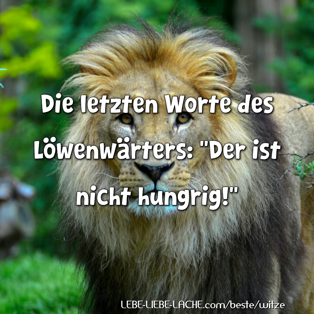 Die letzten Worte des Löwenwärters: Der ist nicht hungrig!