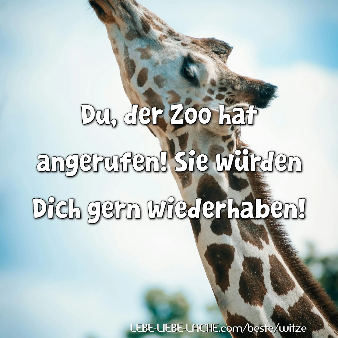 Du, der Zoo hat angerufen! Sie würden Dich gern wiederhaben!