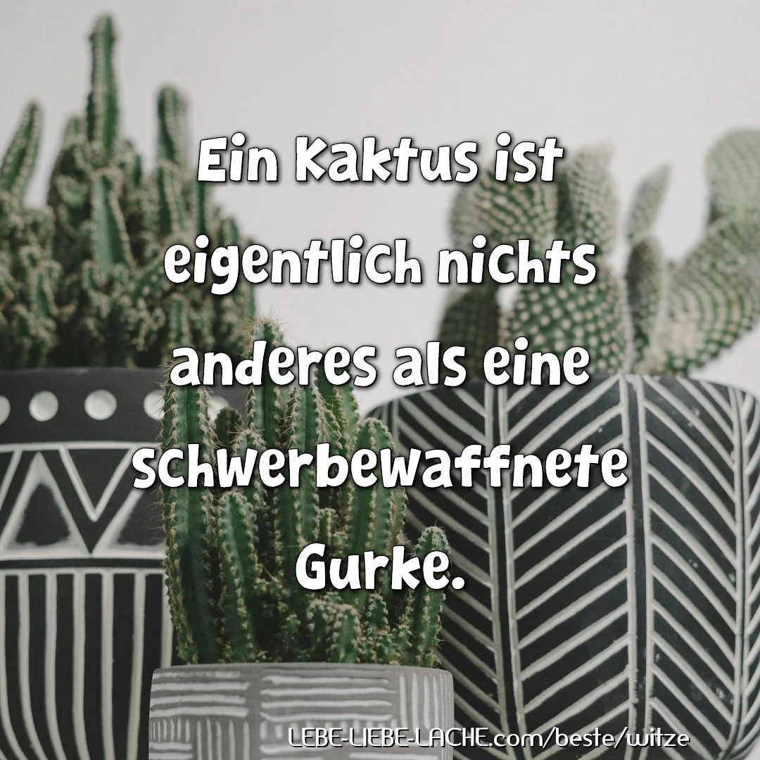 Ein Kaktus ist eigentlich nichts anderes als eine schwerbewaffnete Gurke.