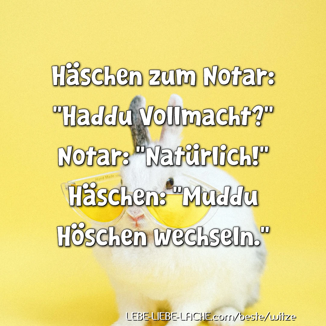 Häschen zum Notar: Haddu Vollmacht? Notar: Natürlich! Häschen: Muddu Höschen wechseln.