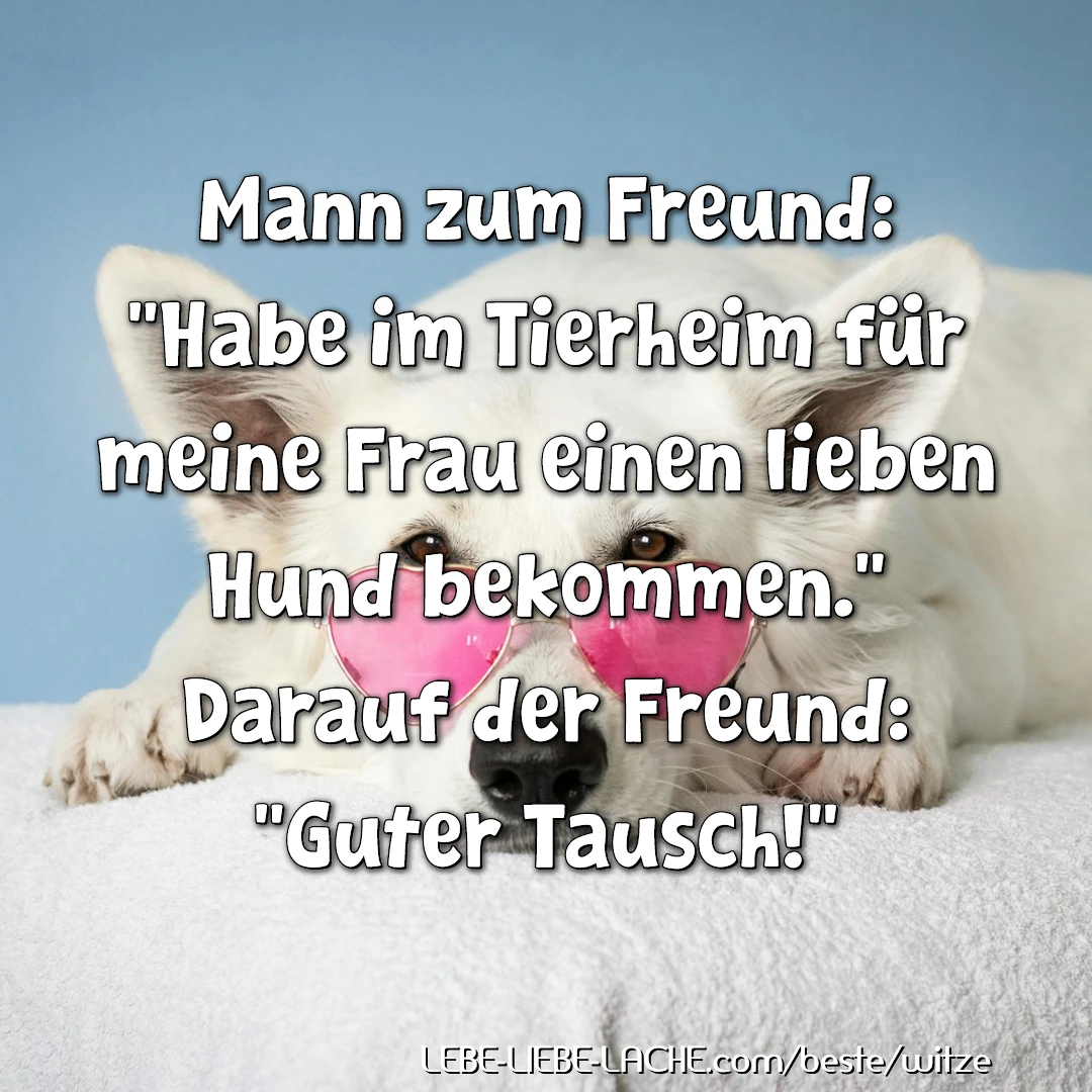 Mann zum Freund: Habe im Tierheim für meine Frau einen lieben Hund bekommen. Darauf der Freund: Guter Tausch!