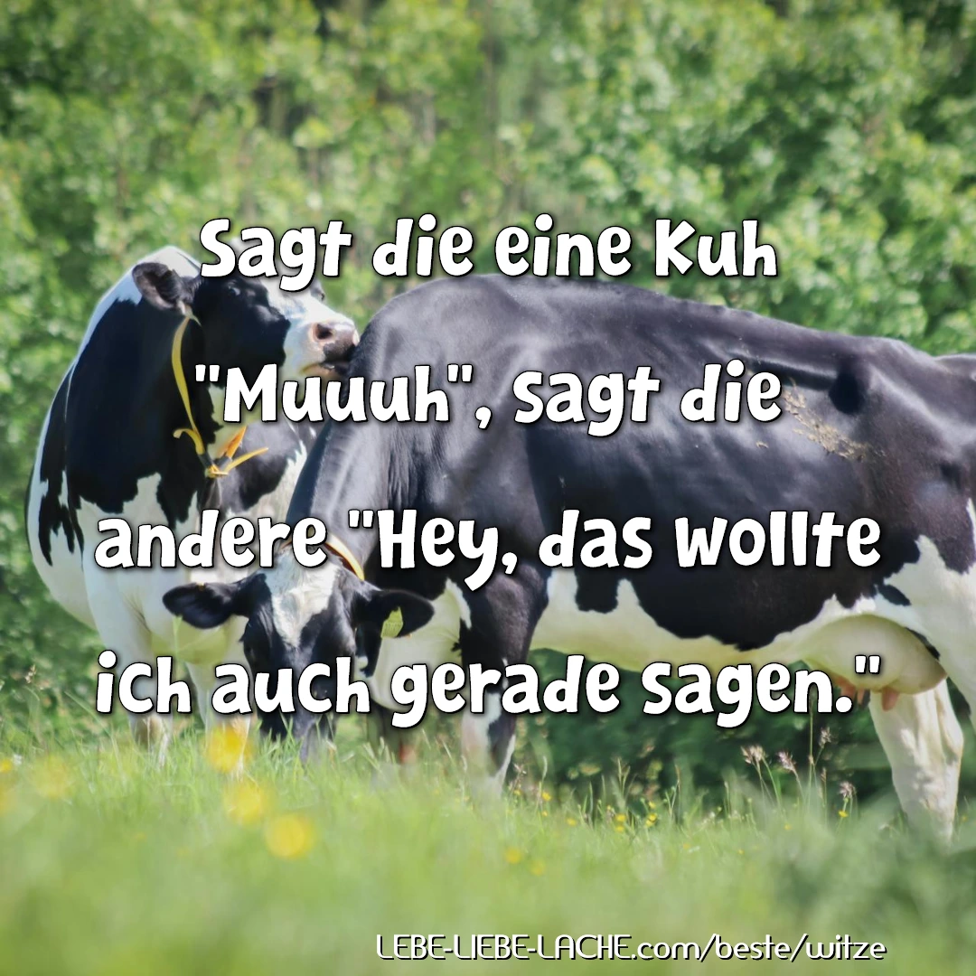 Sagt die eine Kuh "Muuuh", sagt die andere "Hey, das wollte ich auch gerade sagen."