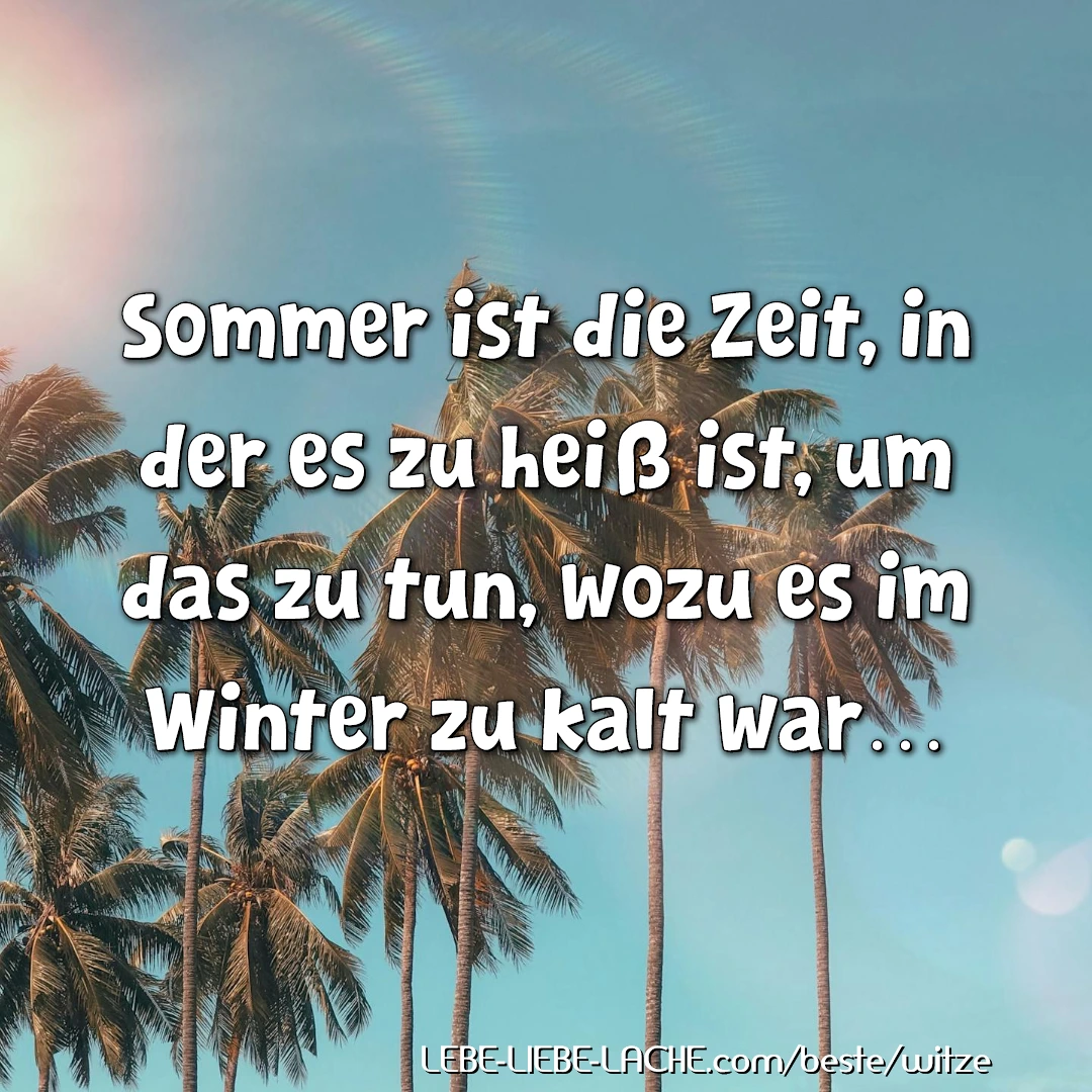 Sommer ist die Zeit, in der es zu heiß ist, um das zu tun, wozu es im Winter zu kalt war