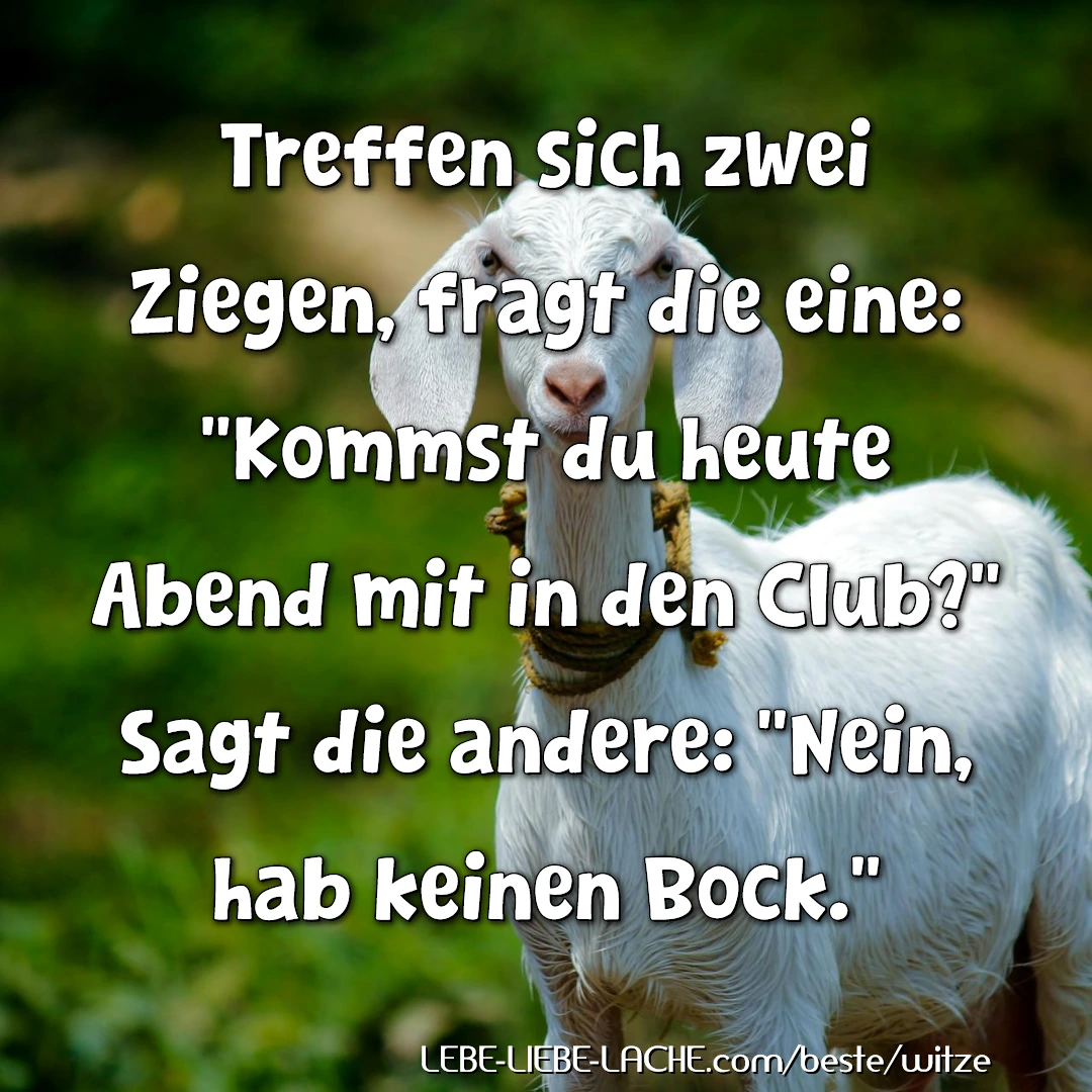 Treffen sich zwei Ziegen, fragt die eine: "Kommst du heute Abend mit in den Club?" Sagt die andere: "Nein, hab keinen Bock."