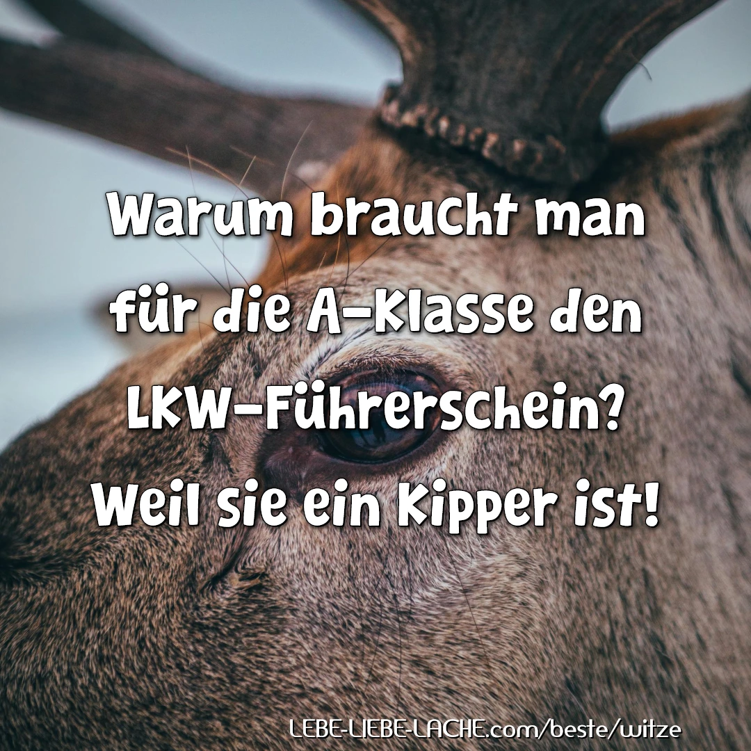 Warum braucht man für die A-Klasse den LKW-Führerschein? Weil sie ein Kipper ist!