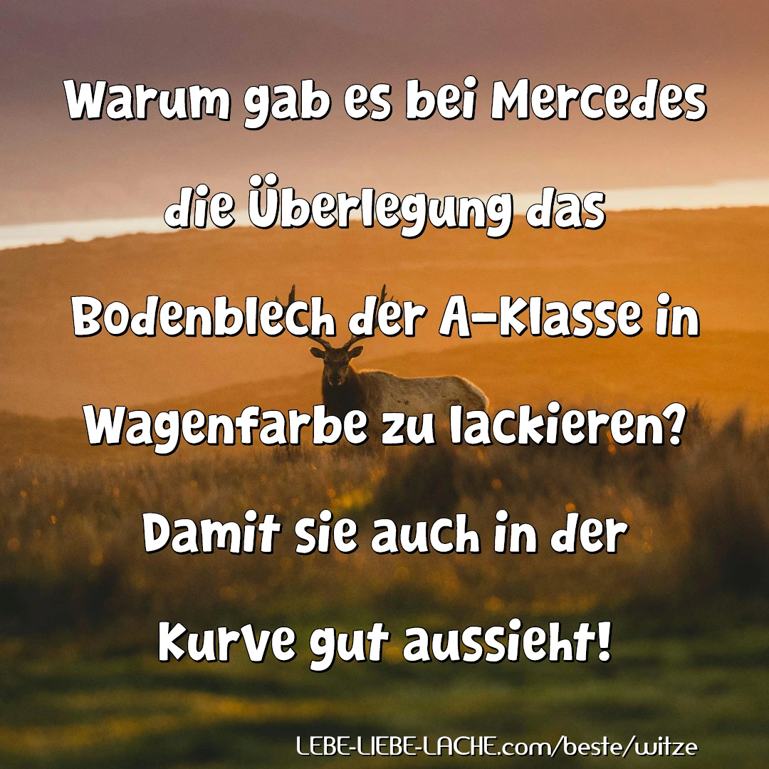 Warum gab es bei Mercedes die Überlegung das Bodenblech der A-Klasse in Wagenfarbe zu lackieren? Damit sie auch in der Kurve gut aussieht!