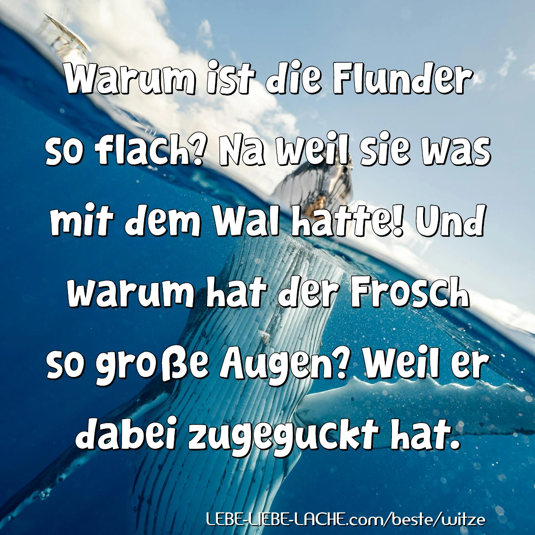 Warum ist die Flunder so flach? Na weil sie was mit dem Wal hatte! Und warum hat der Frosch so große Augen? Weil er dabei zugeguckt hat.