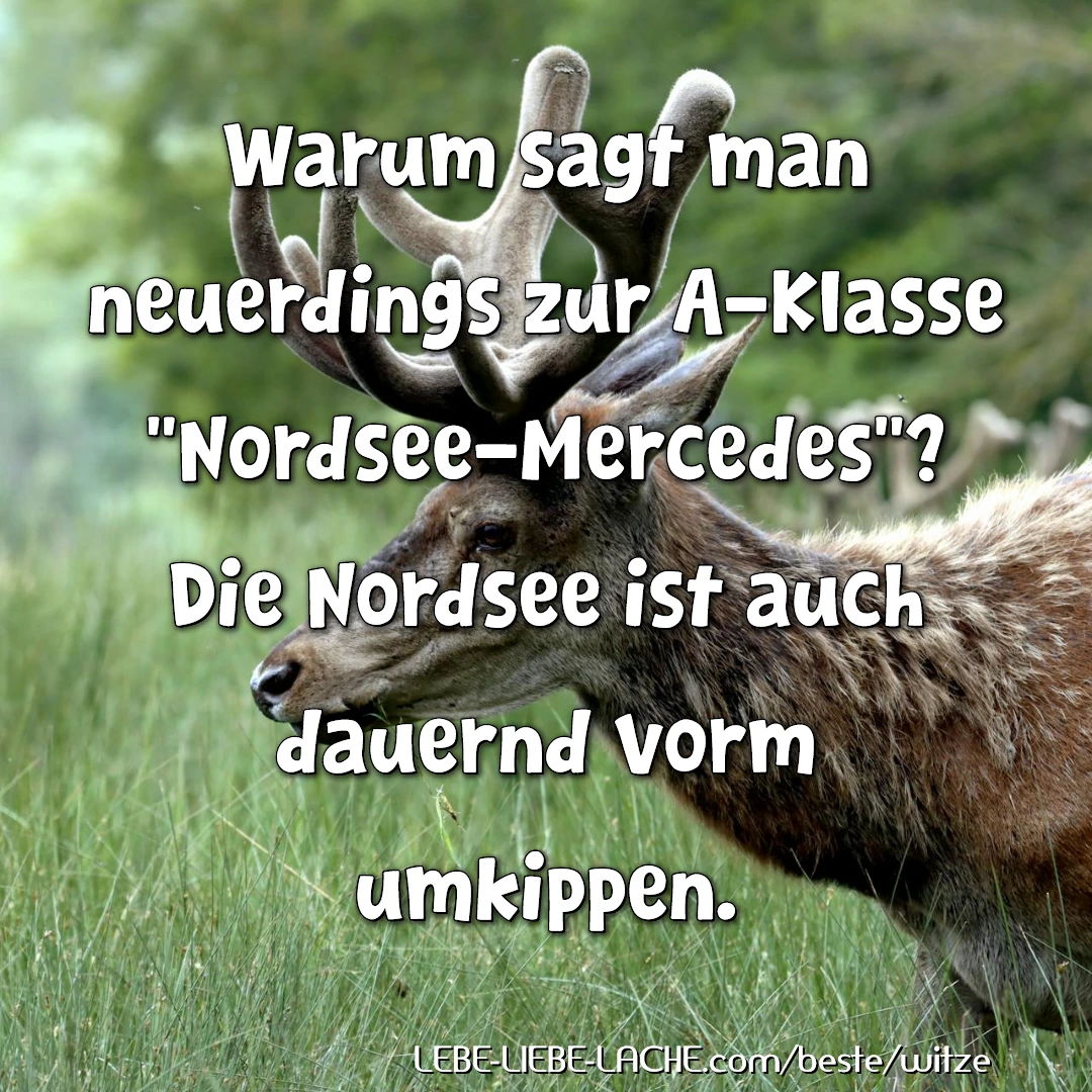 Warum sagt man neuerdings zur A-Klasse Nordsee-Mercedes ? Die Nordsee ist auch dauernd vorm umkippen.