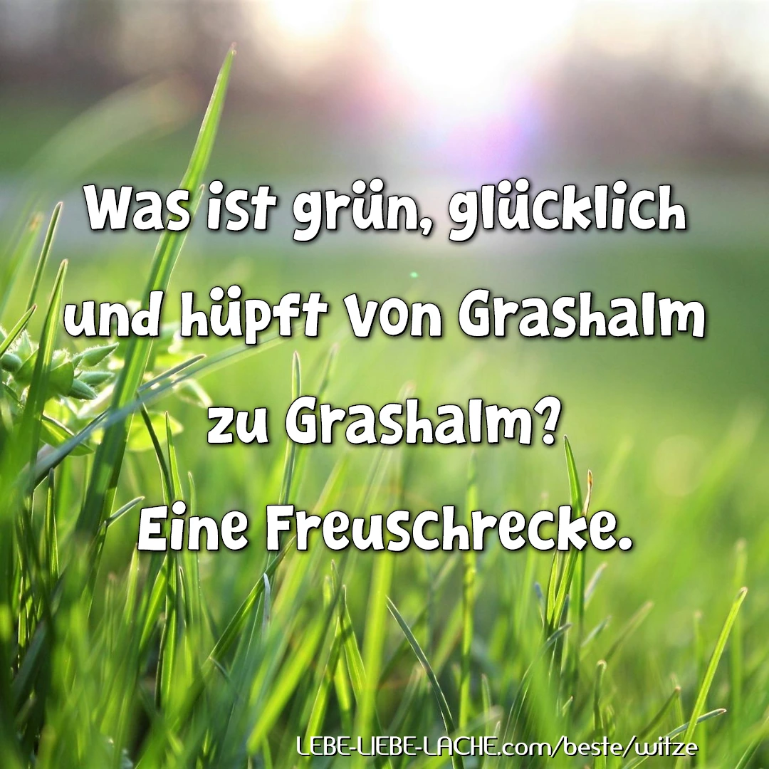 Was ist grün, glücklich und hüpft von Grashalm zu Grashalm? Eine Freuschrecke.