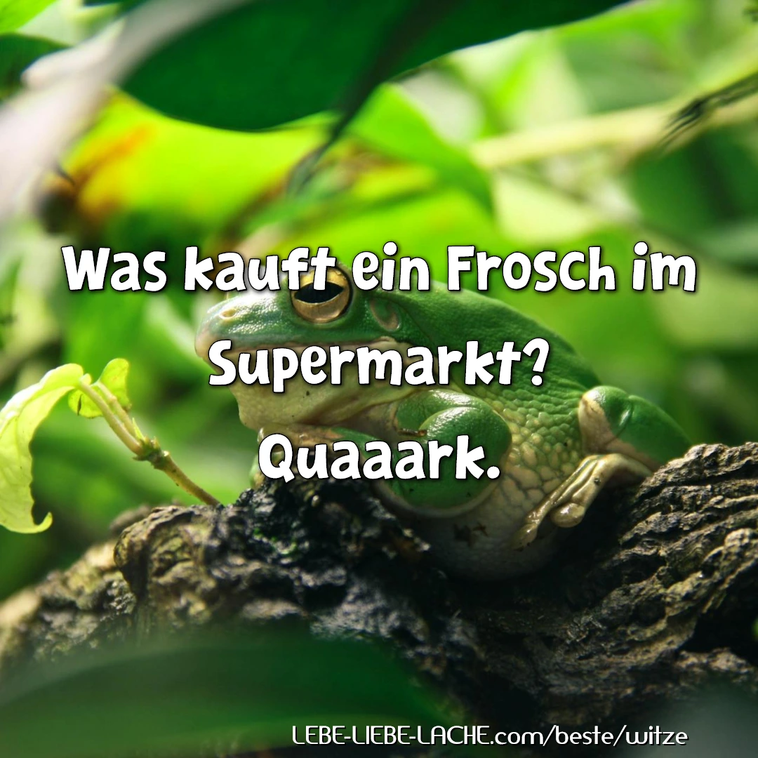 Was kauft ein Frosch im Supermarkt? Quaaark.