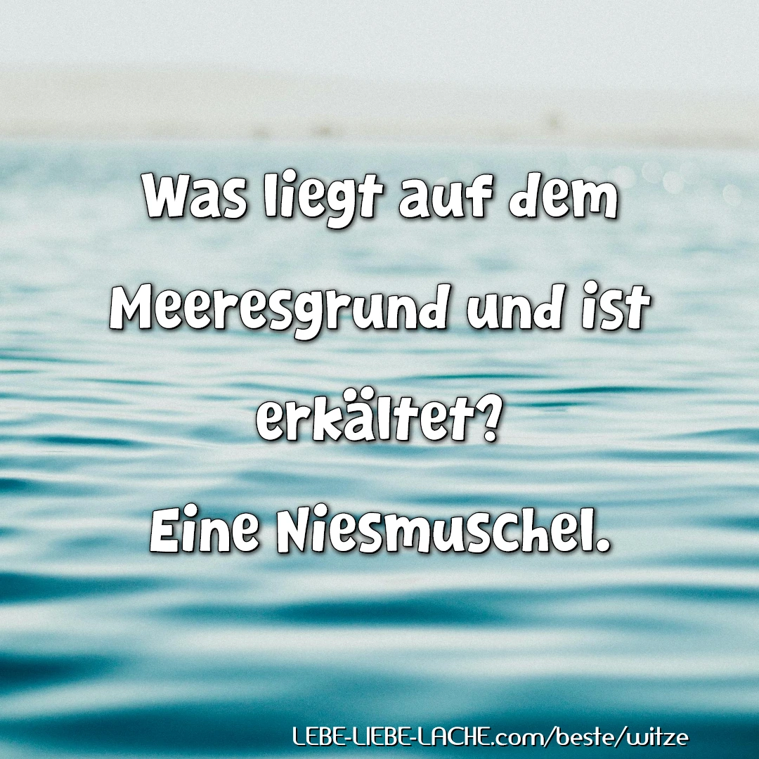 Was liegt auf dem Meeresgrund und ist erkältet? Eine Niesmuschel.