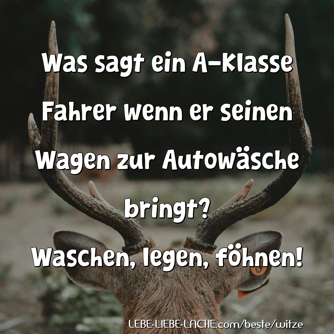 Was sagt ein A-Klasse Fahrer wenn er seinen Wagen zur Autowäsche bringt? Waschen, legen, föhnen!