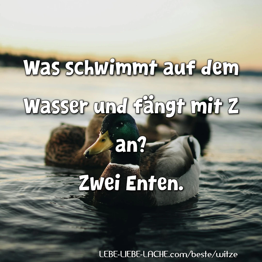 Was schwimmt auf dem Wasser und fängt mit Z an? Zwei Enten.