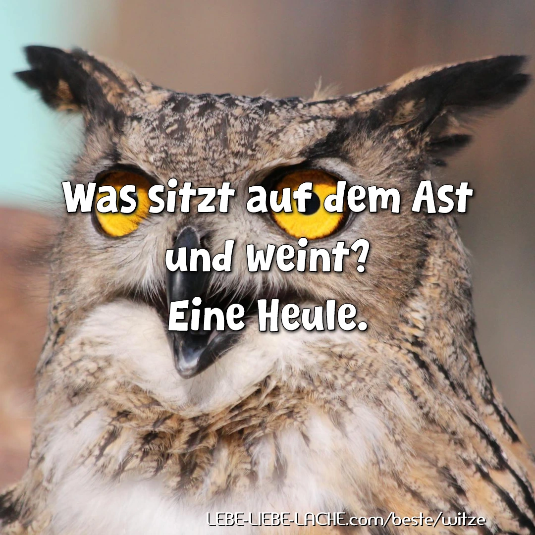 Was sitzt auf dem Ast und weint? Eine Heule.