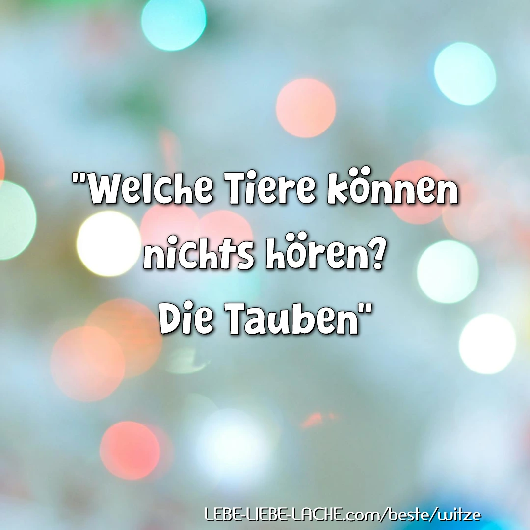 Welche Tiere können nichts hören? Die Tauben