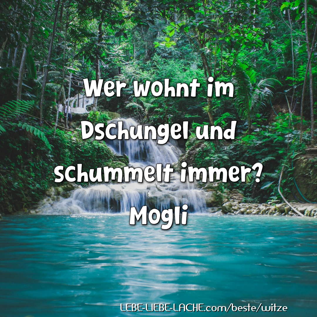 Wer wohnt im Dschungel und schummelt immer? Mogli