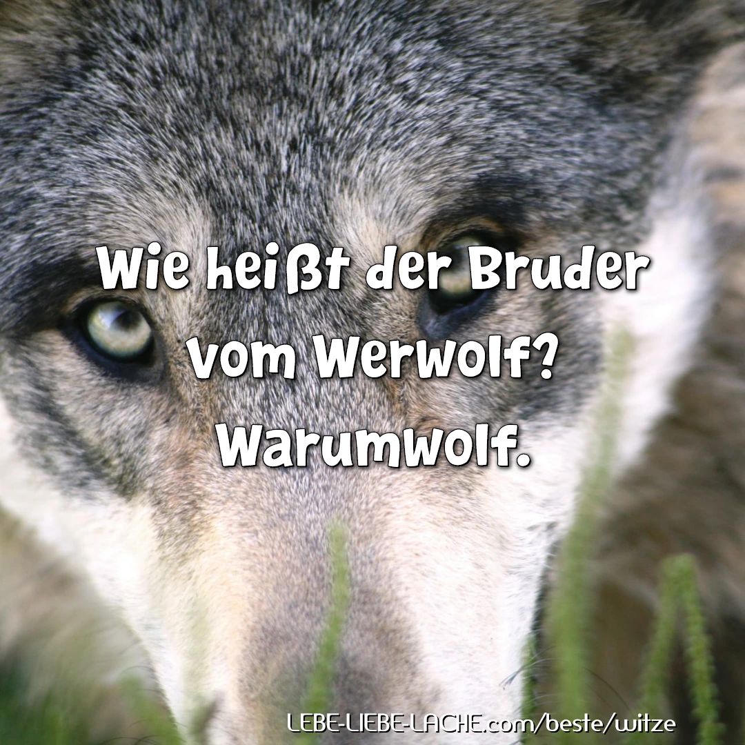 Wie heißt der Bruder vom Werwolf? Warumwolf.