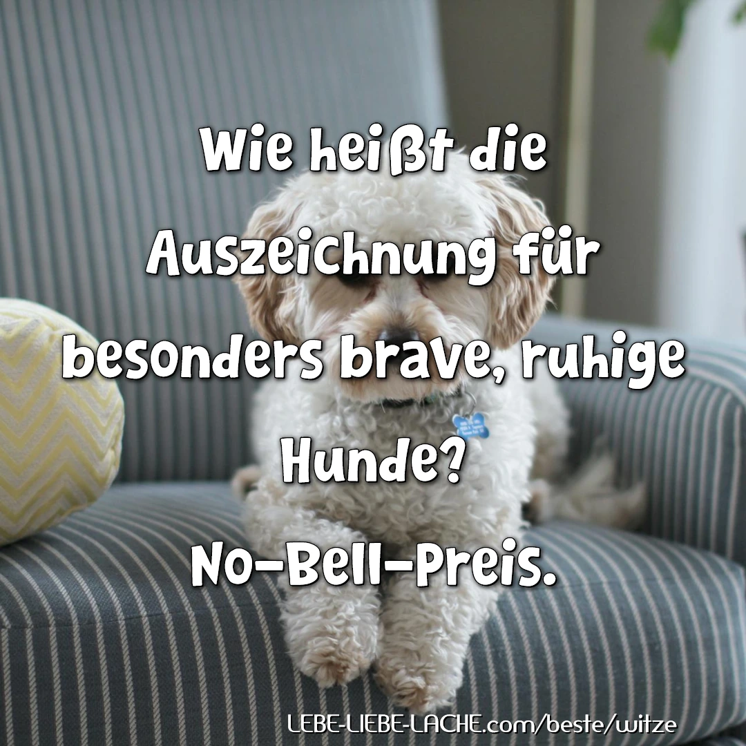 Wie heißt die Auszeichnung für besonders brave, ruhige Hunde? No-Bell-Preis.