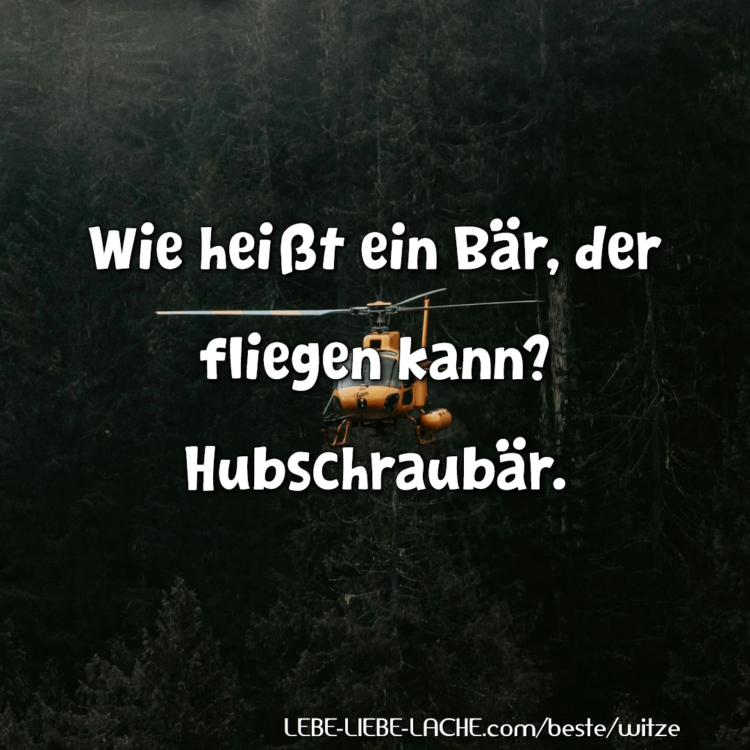 Wie heißt ein Bär, der fliegen kann? Hubschraubär.