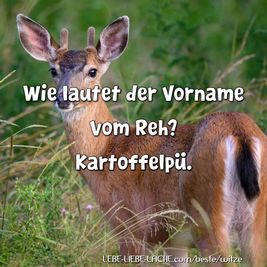 Wie lautet der Vorname vom Reh? Kartoffelpü.