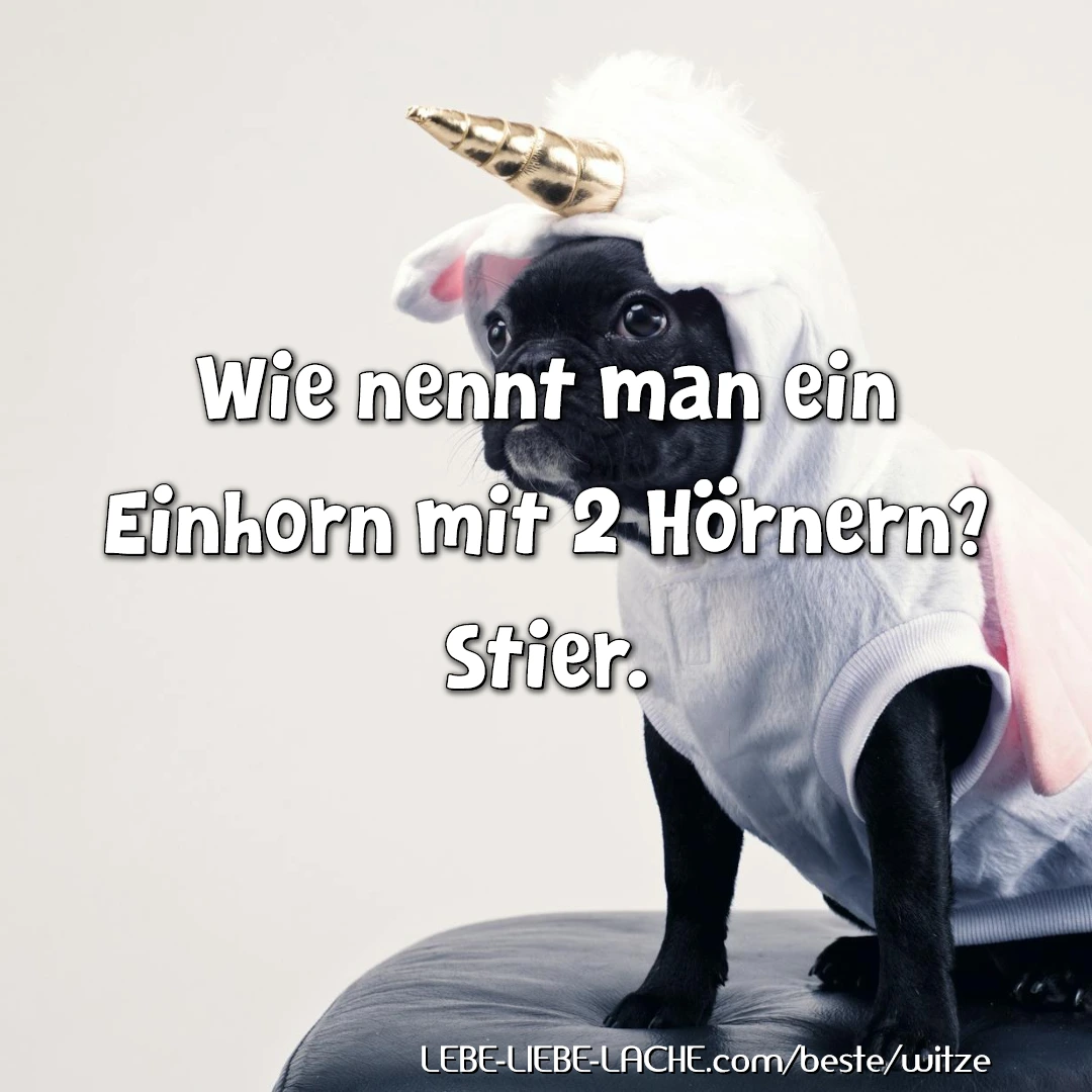 Wie nennt man ein Einhorn mit 2 Hörnern? Stier.