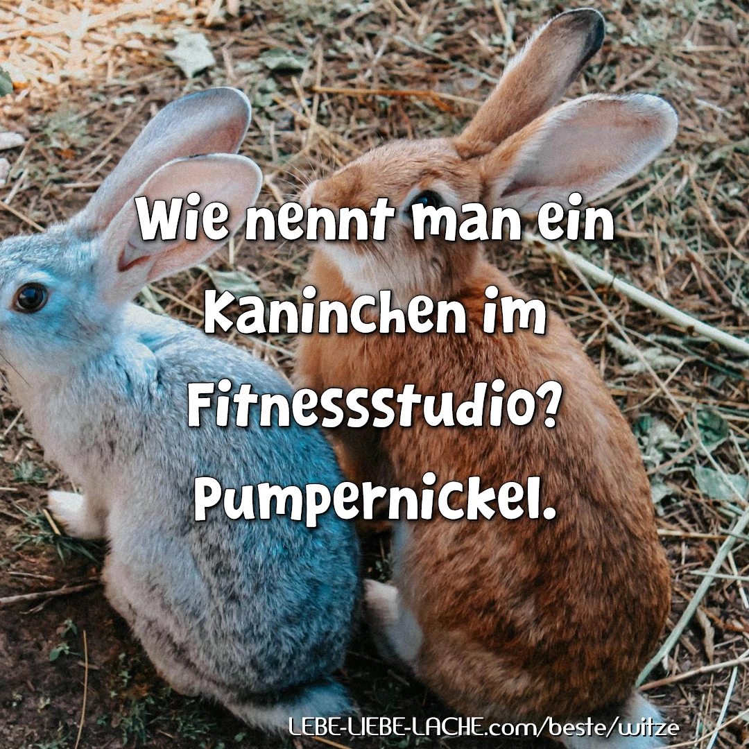 Wie nennt man ein Kaninchen im Fitnessstudio? Pumpernickel.