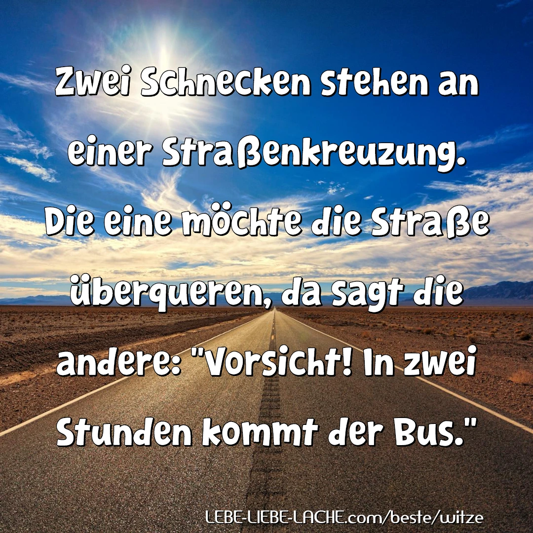 Zwei Schnecken stehen an einer Straßenkreuzung. Die eine möchte die Straße überqueren, da sagt die andere: Vorsicht! In zwei Stunden kommt der Bus.