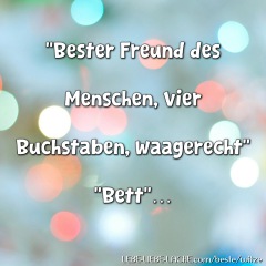 "Bester Freund des Menschen, vier Buchstaben, waagerecht" "Bett"