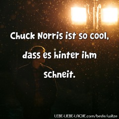 Chuck Norris ist so cool, dass es hinter ihm schneit.