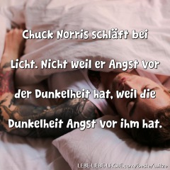 Chuck Norris schläft bei Licht. Nicht weil er Angst vor der Dunkelheit hat, weil die Dunkelheit Angst vor ihm hat.