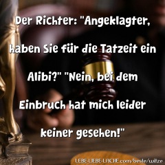 Der Richter: Angeklagter, haben Sie für die Tatzeit ein Alibi? Nein, bei dem Einbruch hat mich leider keiner gesehen!