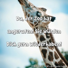 Du, der Zoo hat angerufen! Sie würden Dich gern wiederhaben!