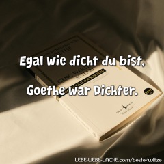 Egal wie dicht du bist, Goethe war Dichter.