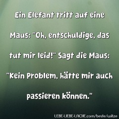 Ein Elefant tritt auf eine Maus: Oh, entschuldige, das tut mir leid! Sagt die Maus: Kein Problem, hätte mir auch passieren können.