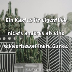 Ein Kaktus ist eigentlich nichts anderes als eine schwerbewaffnete Gurke.