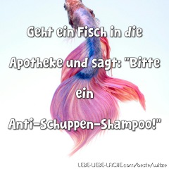 Geht ein Fisch in die Apotheke und sagt: Bitte ein Anti-Schuppen-Shampoo!