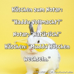 Häschen zum Notar: Haddu Vollmacht? Notar: Natürlich! Häschen: Muddu Höschen wechseln.