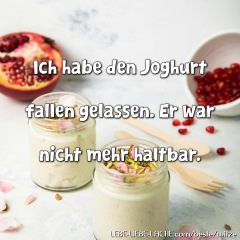 Ich habe den Joghurt fallen gelassen. Er war nicht mehr haltbar.