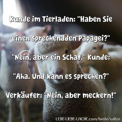 Kunde im Tierladen: Haben Sie einen sprechendden Papagei? Nein, aber ein Schaf. Kunde: Aha. Und kann es sprechen? Verkäufer: Nein, aber meckern!